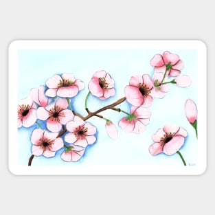Cherry Blossom Watercolor Painting Sticker
